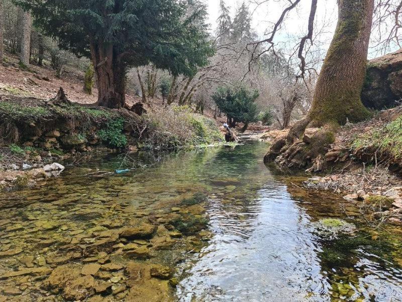 La Pommeraie D'Ifrane Ifrane  Exterior foto