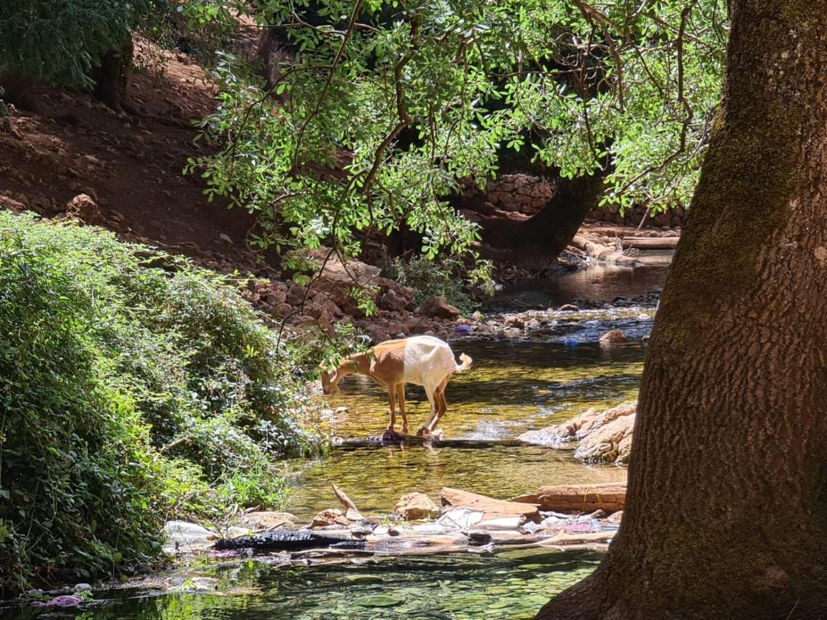 La Pommeraie D'Ifrane Ifrane  Exterior foto